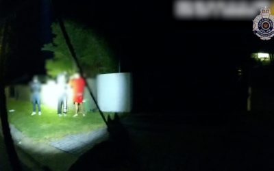 Unlawful use of a motor vehicle arrests